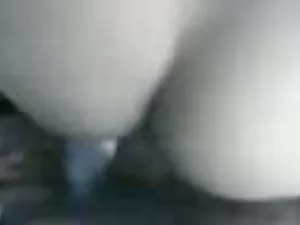 غنيمة كبيرة مارس الج ...